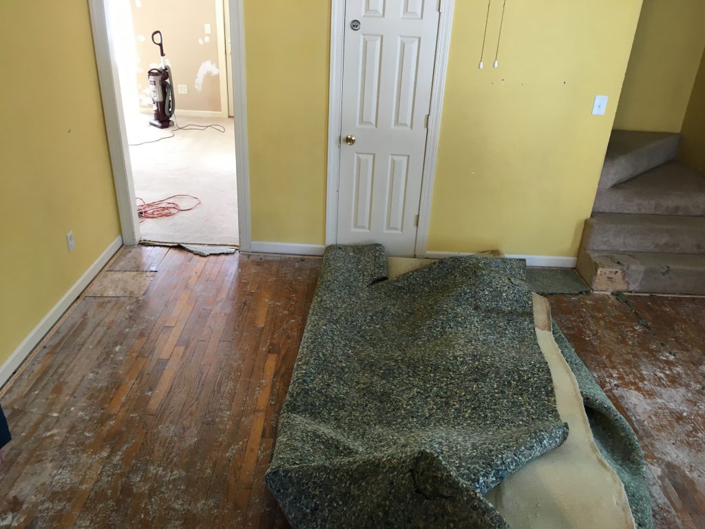 Carpet pulled up and walls damaged.